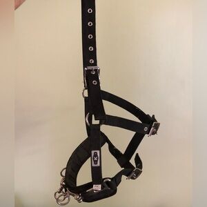 Nylon Lunging Cavesson